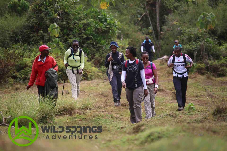 Njigari Forest Forest Bathing Trek